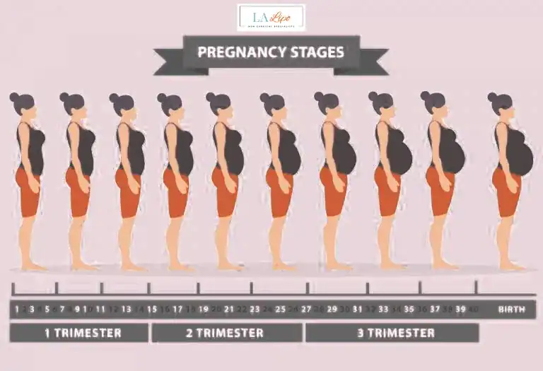 First Trimester (Weeks 1–12): Early Changes You Might Not Notice Sutton in Ashfield